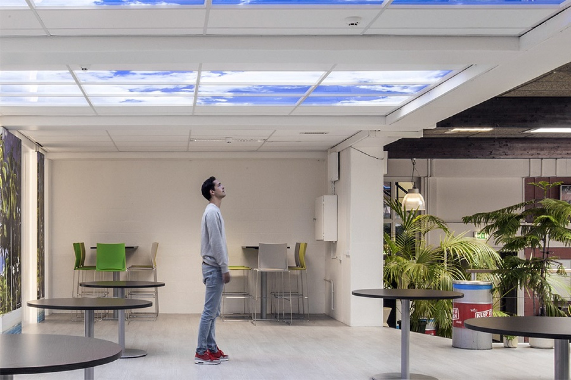 تایل( Tile ) -معرفی کامل و تخصصی تایل سقفی